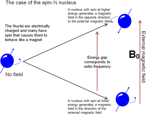 What Is Nmr