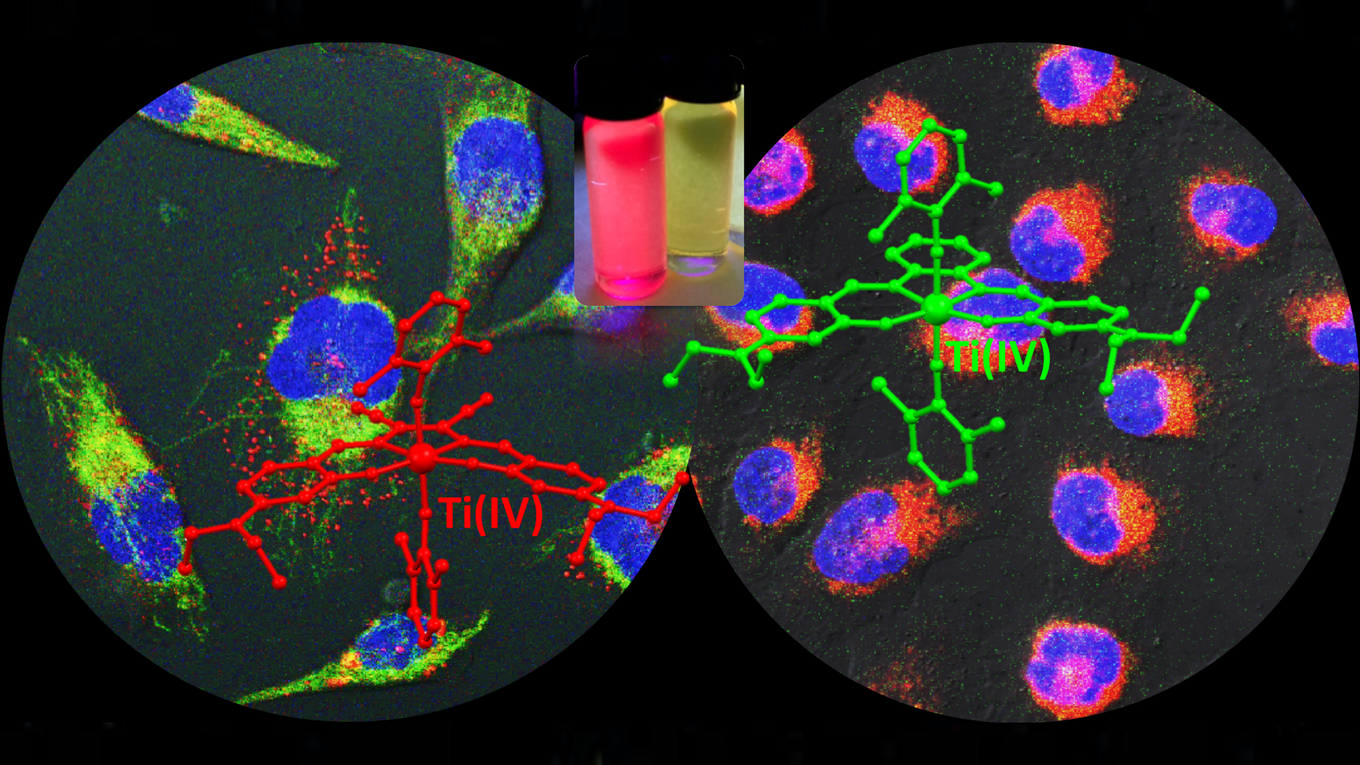 fluorescent titanium(IV) salen complexes for cell imaging