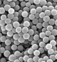 Organically doped metals: A new family of materials