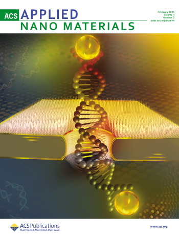 ACS Applied Nano Materials Feb 2021 Cover