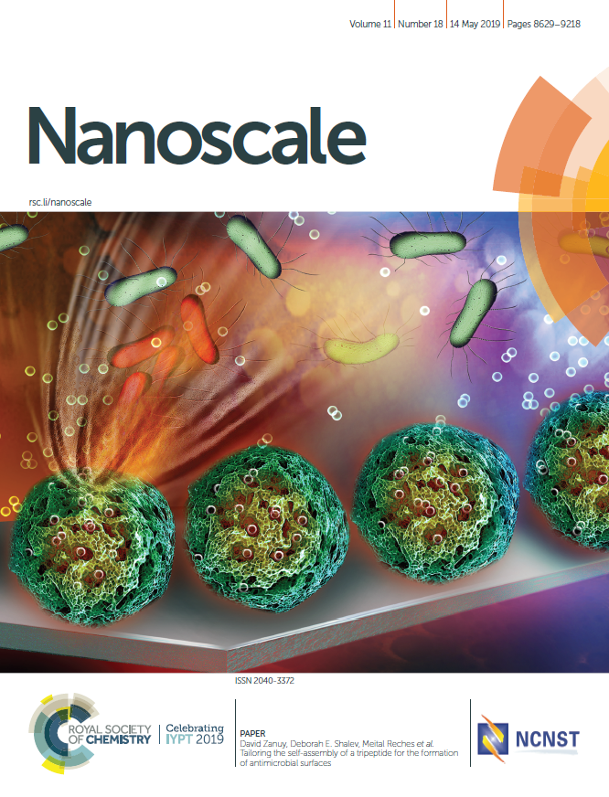 Nanoscale 2019 Inner Cover