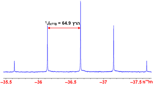 ספקטרום 11B של +BH4