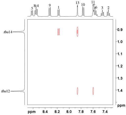 tBultyl region of NOESY spectrum of
                12,14-ditbutylbenzo[g]chrysene