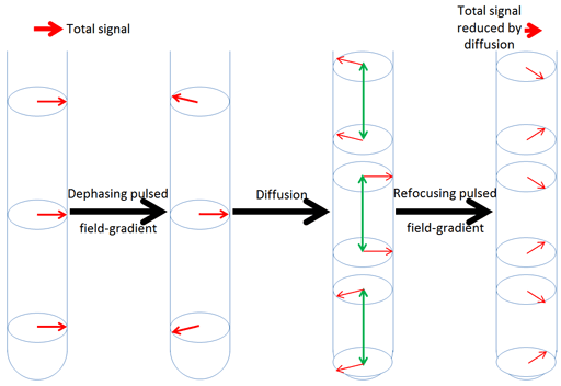 attenuation of signal due to the combination of diffusion and gradient pulses