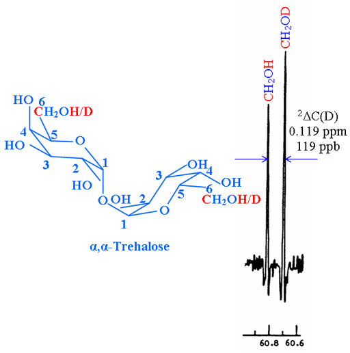 secondary isotope shift