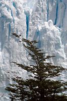 Perito Moreno