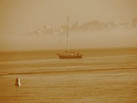 SF fog