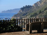 Julia Pfeffer Burns Park