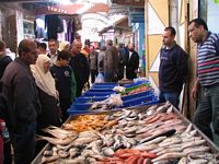 Fish