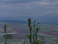 Yizrael Valley