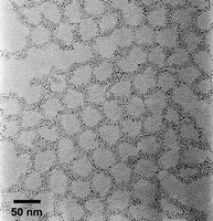Cross-linked nanoparticles