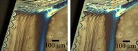 Microphase Separation